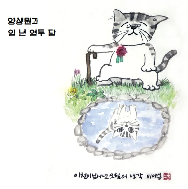 이천이십사년오월의 생각 미야옹