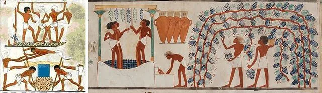 고대 이집트 벽화에 그려진 포도로 술을 빚는 모습 위키미디어