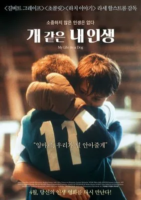 라세 할스트롬 감독, 안톤 글라젤리우스 주연, 스웨덴, 1985