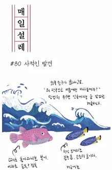 [매일설레] 80. 사적인 발견