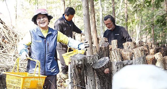 편백향 맑은 공기로 키운 표고… 주민은 웃음꽃
