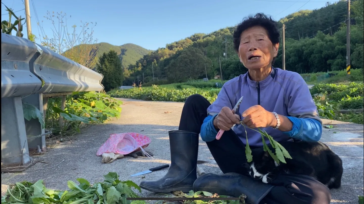 김민경 작곡가 글 사진