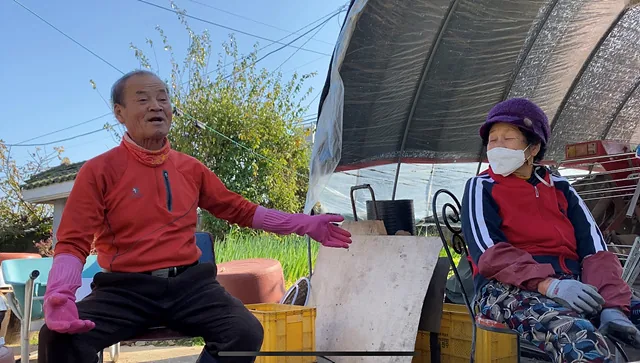 temp 1607661668808. 39208715