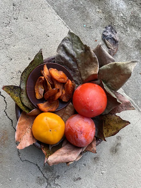 KakaoTalk 20211104 100559214