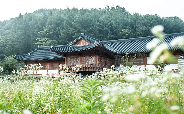 KakaoTalk 20231011 133544560 10