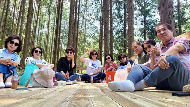 상관마을 편백숲 평상에서