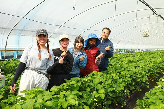 백하딸기농장 이승용(맨 오른쪽) 대표, 웨날린(왼쪽에서 네 번째) 씨와 동료들, 통역 도우미 김여진(왼쪽에서 세 번째)