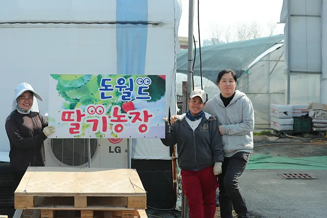 로날린(왼쪽), 주디스(가운데), 돈월드딸기농장 송현선(오른쪽) 대표