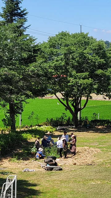 햇볕 아래 교육생들이 허브를 관찰하고 있다.