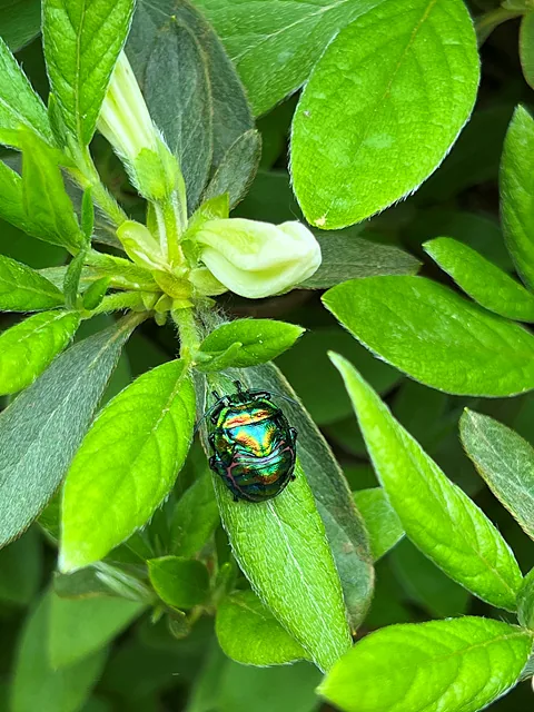 박세연 작품사진01