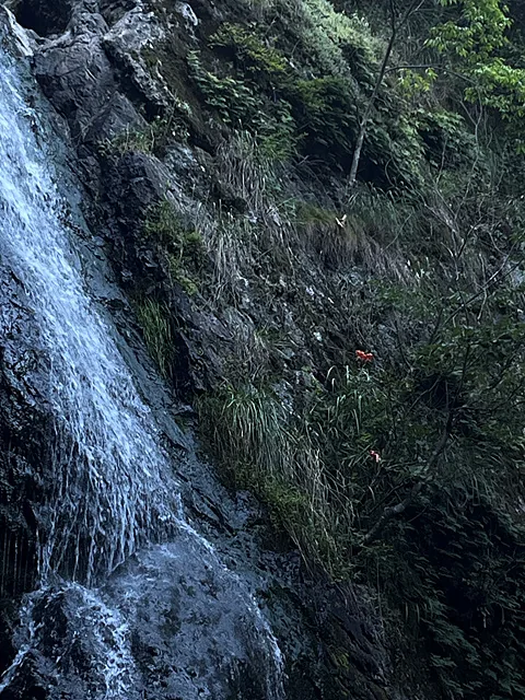 위주리 작품사진 위봉폭포 공간과 닮아가는 풀들