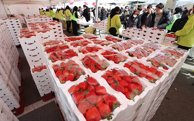 제24회 완주삼례딸기대축제