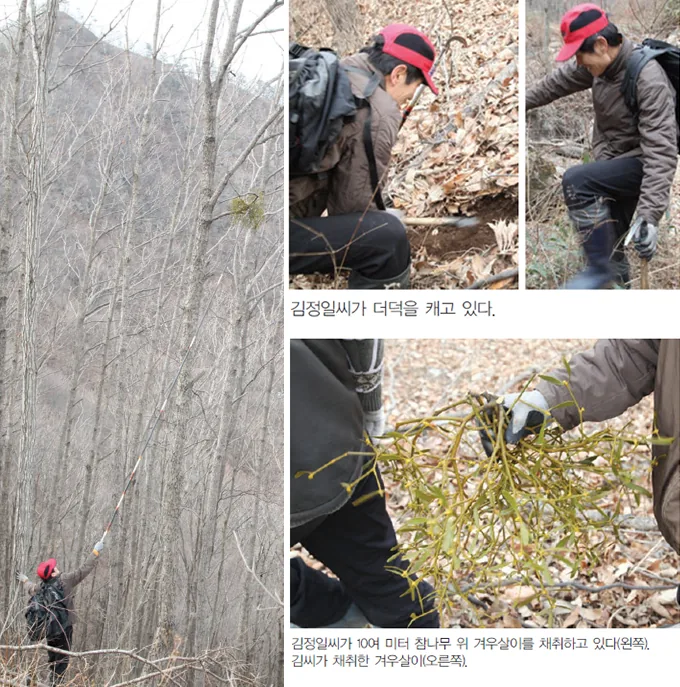어렸을 땐 놀이터 커서는 일터 … 그에게 산은 운명이었다