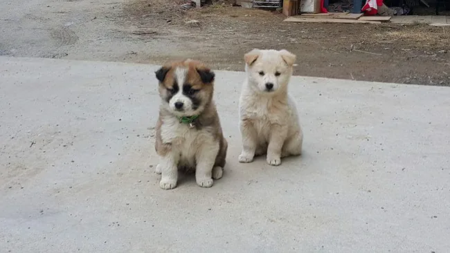 FB IMG 1486708806576