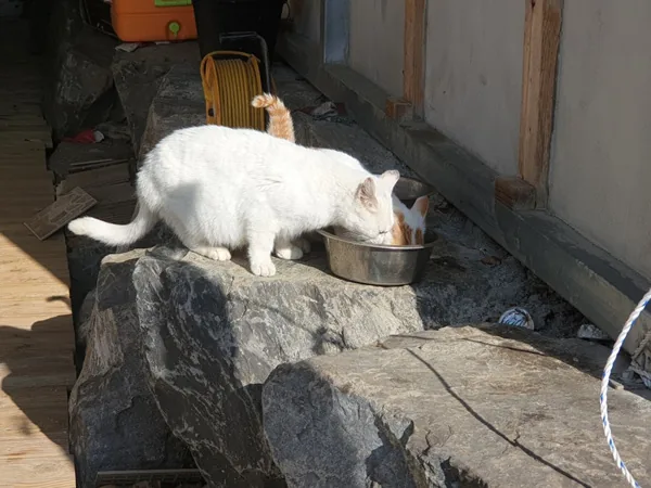 KakaoTalk 20181127 172542214