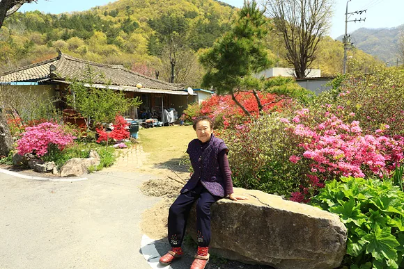 6p 메인사진 변경