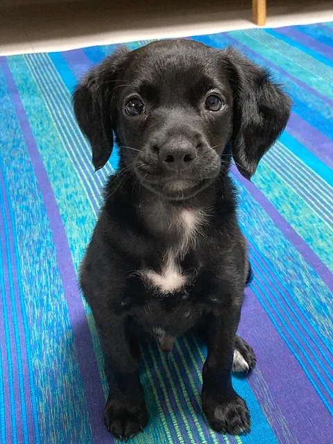 KakaoTalk 20210906 100453245