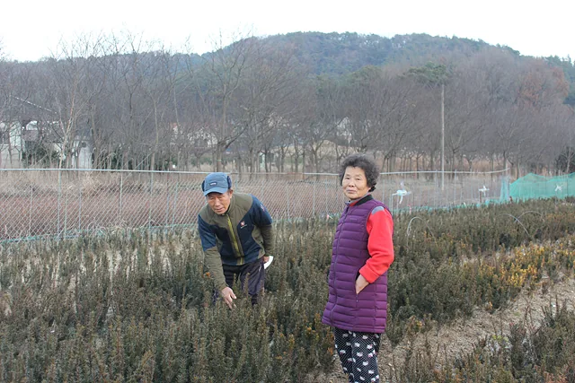 노인회장 부부 (3)
