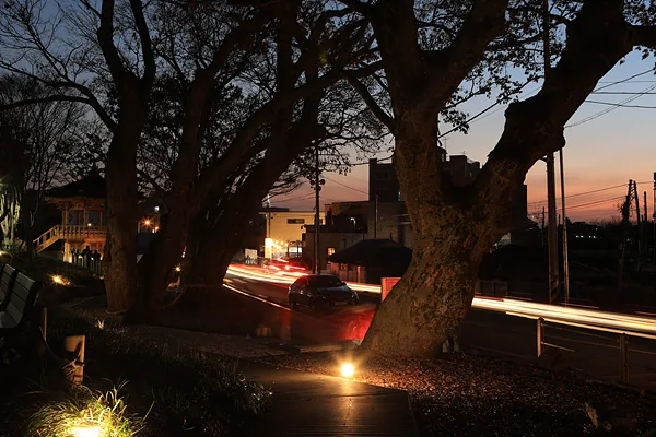 상장기공원 야경1