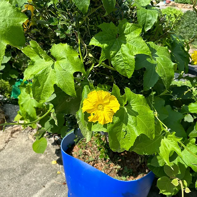 KakaoTalk 20230907 120930905 07