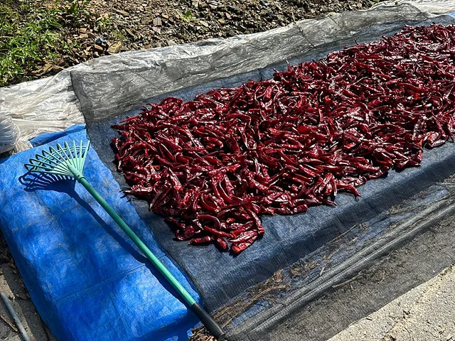 KakaoTalk 20230907 120544020 30