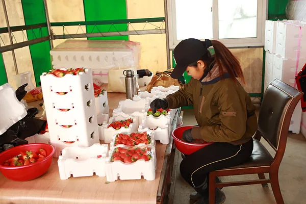 ##포장업무하는 직원