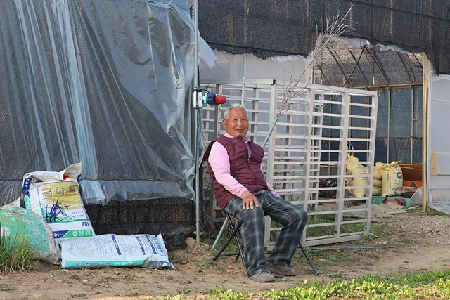 (형) 조선희 어르신