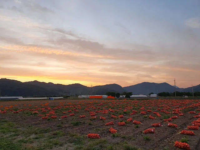 KakaoTalk 20240705 171243794 04