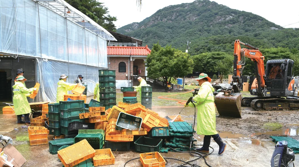 농사용 상자를 세척하는 자원봉사자들