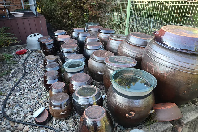 수분 어르신이 직접 담근 장들