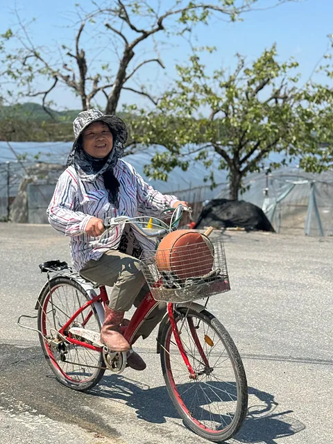 #자전거 타는 양점례 어르신