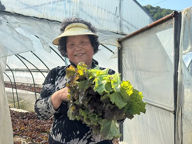 #상추 들고 웃는 윤연옥 씨 (3)