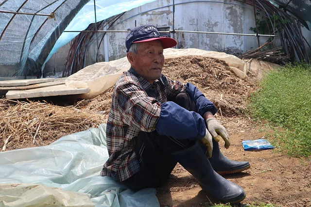 풀을 뽑다가 잠시 쉬는 이종구 어르신