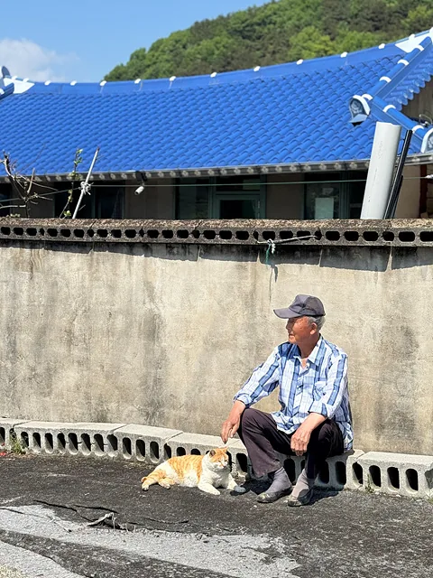 임병국 어르신과 고양이