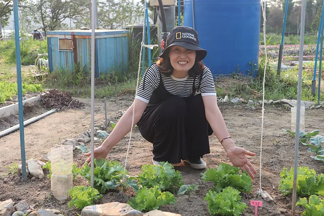 자신이 기르는 상추 텃밭을 소개하는 최수안 씨 (1)