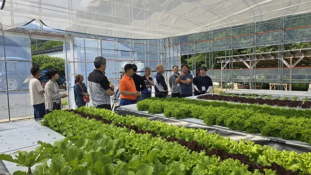 농업 현장 방문 등 다양한 완주알기교육 활동 모습