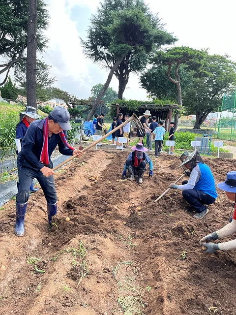 생태텃밭 만들기 (2)