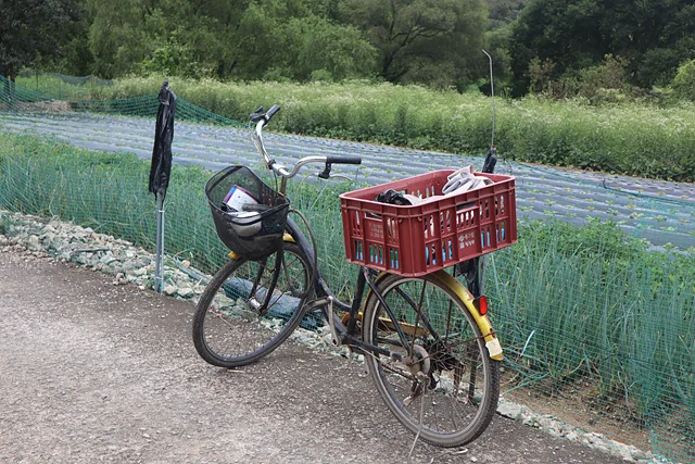 수재 어르신의 자전거