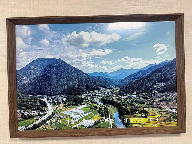 김기홍 이장이 2년 전 드론으로 찍은 마을 사진