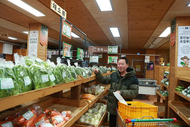 최영진 씨가 새벽 로컬푸드직매장에 신선한 시금치를 납품하고 있다.