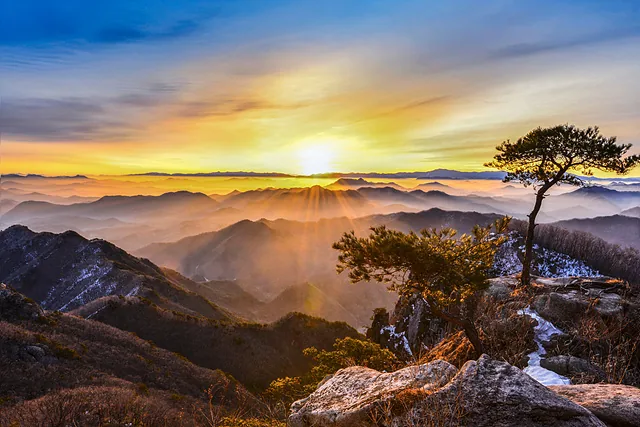 [새해를 맞는 방식] 차고 뜨거운 2026년 첫날을 여는 사람들
