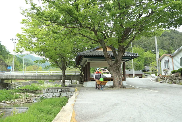 [굽이굽이 계곡 끝 구이면 장파마을] 탁, 탁! 계곡마다 닥돌 두드리며 부지런히 한지를 떴지
