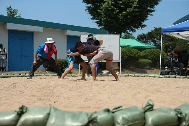 씨름 대회 (3)