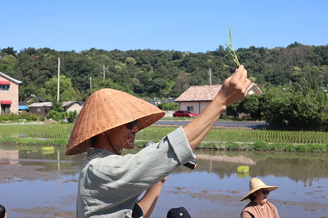 모내기에 앞서 한 모에서 공기밥 다섯 그릇이 나온다고 설명하는 고산벼두레 경작위원장 류한승 씨