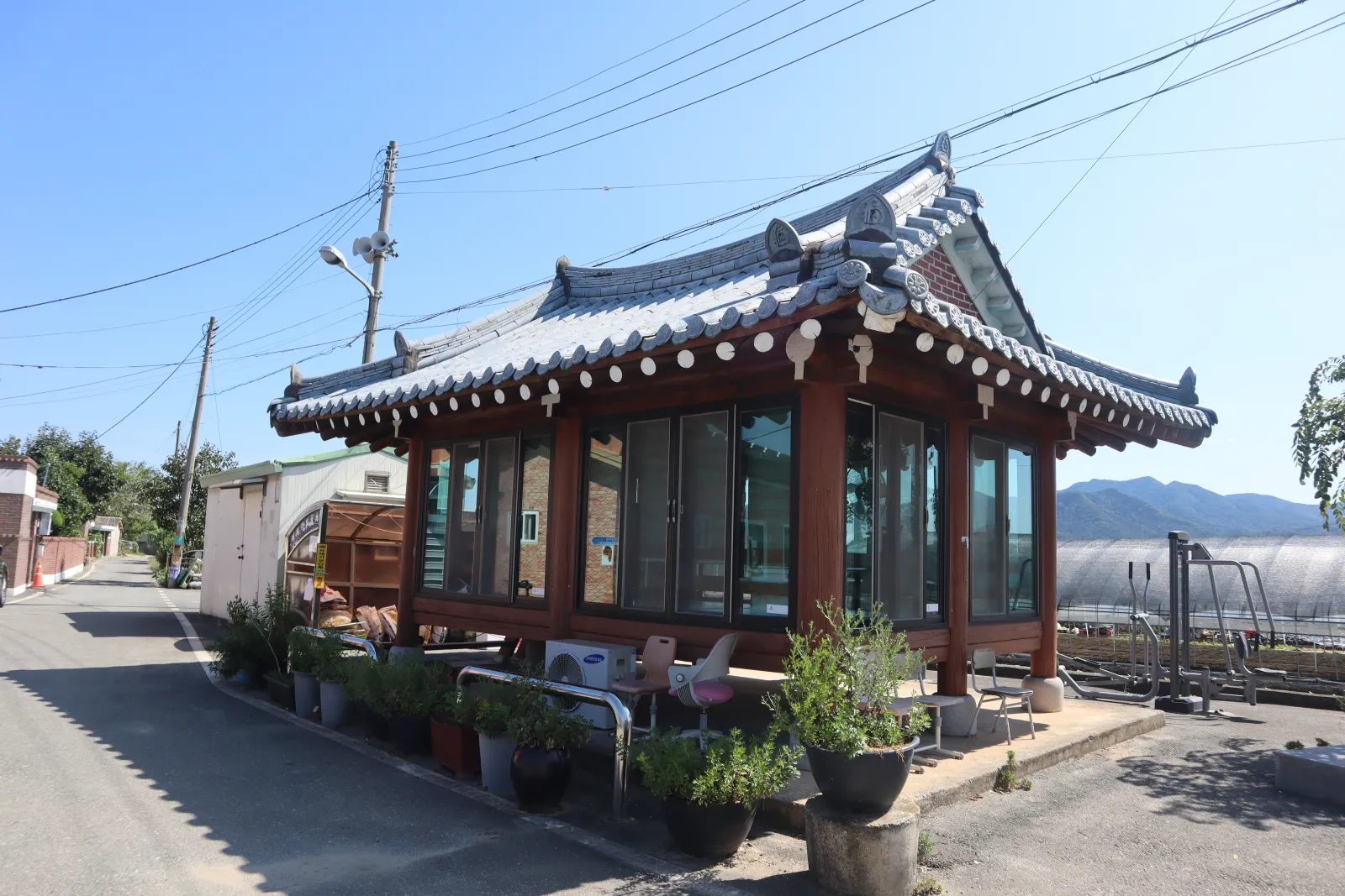 새로운 모정